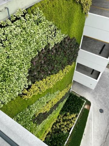 New Luxury Apartment With King - Size Bed Ceibos Guayaquil Dış mekan fotoğraf